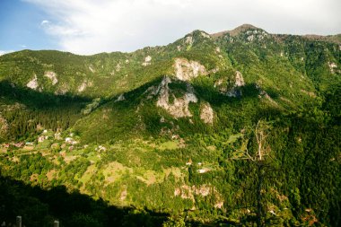 Georgia, çim ve ağaçlarla kaplı bir dağ sırası. Dağ arka planı. 