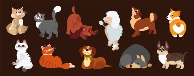 Bir grup şirin kedi ve köpek uyuyor, esniyor, oynuyor. Beyaz arka planda izole edilmiş evcil hayvanlar. Düz çizgi film vektör çizimi.