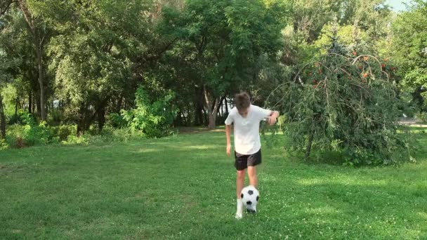 Genç çocuk dışarıda futbol oynuyor, yazın parkta top tekmeliyor.. — Stok video
