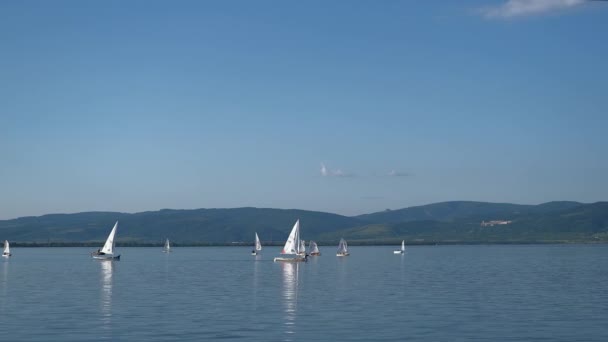 Veliko Gradiste, Golubac, Serbie 4 juin 2021. Les écoliers et les adaltes apprennent à nager sur des voiliers — Video