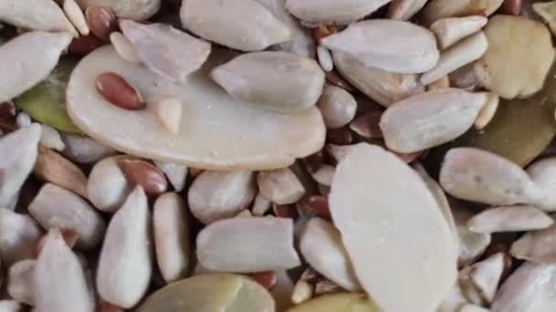 HD Μείγμα δημητριακών με ξηρούς σπόρους λιναριού, ηλίανθου, κολοκύθας και αμυγδάλου. Μακρό. — Αρχείο Βίντεο