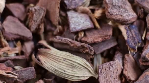 Arka plan olarak sağlıklı bitkisel organik kurutulmuş Chai Tea karışımı. Makro. — Stok video