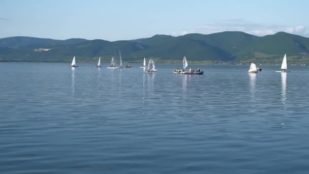 Veliko Gradiste, Golubac, Serbie 4 juin 2021. Les écoliers et les adaltes apprennent à nager sur des voiliers — Video