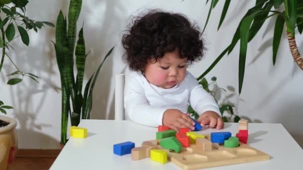 Малюк змішаної раси маленька дівчинка сидить за столом і укладає дерев'яні іграшки — стокове відео