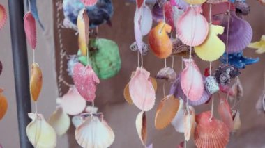 Deniz kabuğu hareketli hafif rüzgarla asılı.