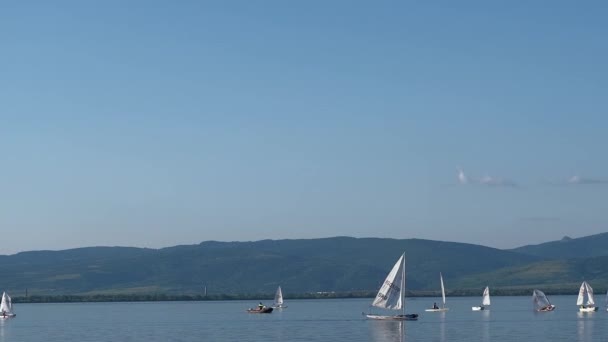 Veliko Gradiste, Golubac, Serbie 4 juin 2021. Les écoliers et les adaltes apprennent à nager sur des voiliers — Video