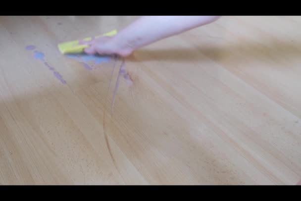 Adult hand wipe wet stain on parquet from spilled cocoa with rag — ストック動画