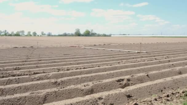 Vers geploegd veld in dorp zonder mensen, zonder landbouwmachines — Stockvideo