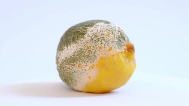 Limon küfle kaplı, bozulmuş, beyaz arkaplanda dönüyor.
