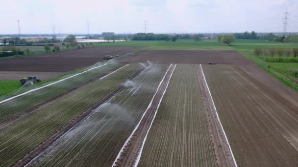 Irrigação Campos Filmagem Agrícola Com Máquinas Artificialmente Irrigadas Agrícolas Rega — Vídeo de Stock