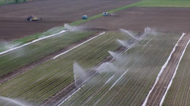 Irrigatie Landbouwbeeldvelden Met Kunstmatig Geïrrigeerde Landbouwmachines Het Veld Besproeien — Stockvideo