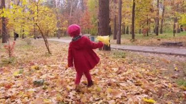 Küçük mutlu kız yaprakları havaya fırlatıyor, neşeyle gülüyor ve dönüyor. Sonbahar parkında çocuk oyunu. Çocuk şehir parkında yürüyor, yüzünü kaldırıyor sonbahar mevsiminde altın yaprakların düşüşüne bakıyor.