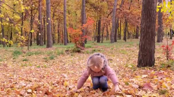 Pequena Menina Feliz Joga Folhas Alto Alegremente Criança Brinca Parque — Vídeo de Stock