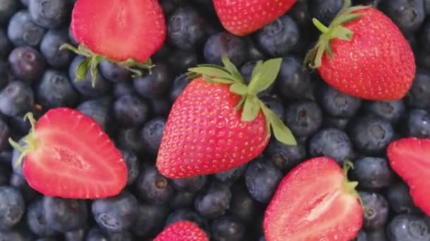 Blueberry Dan Strawberry Latar Belakang Berputar Close Blueberry Dan Raspberry — Stok Video