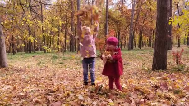 Zwei Kleine Mädchen Warfen Gelbe Herbstblätter Die Höhe Und Lachten — Stockvideo