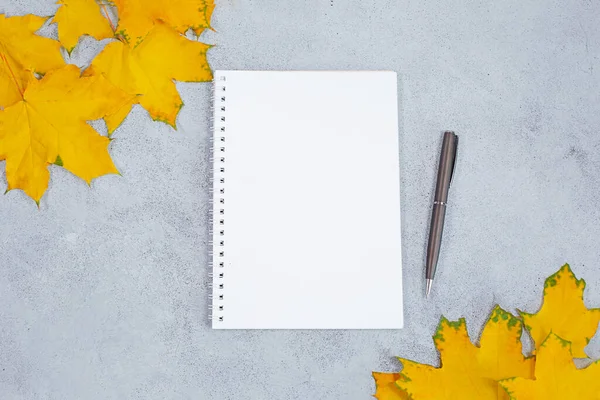 Cuaderno Diario Blanco Abierto Calendario Hojas Amarillas Sobre Una Mesa — Foto de Stock