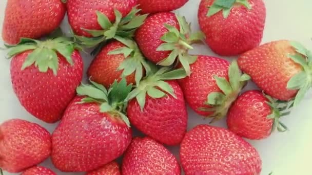 Many Organic Strawberry Bowl Spinning Healthy Organic Food Production Eco — Vídeo de stock