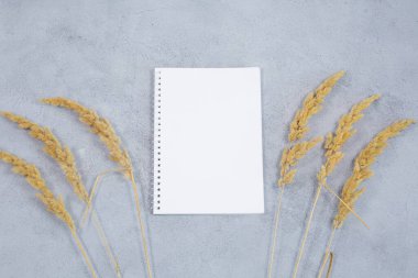 An open blank diary notebook, calendar with dried grass on grey concrete table. The concept of business planning. Autumn composition.
