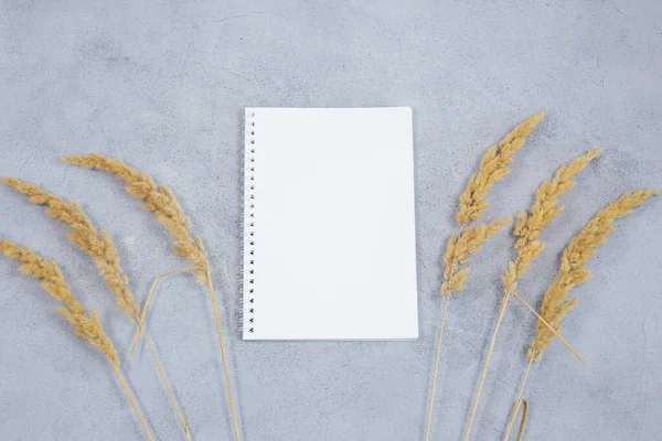 An open blank diary notebook, calendar with dried grass on grey concrete table. The concept of business planning. Autumn composition.