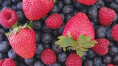 Blueberry, Strawberry and Raspberry, rotating backdrop. close-up. Blueberry and Raspberry with green leaf on rotating backdrop. close-up. Berries. Various colorful berries rotation background.Bio