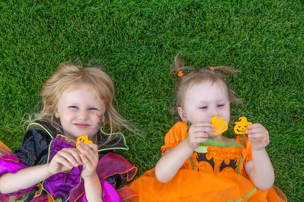 Funny Little Kids Halloween Dressed Witch Costume Pumpkin Outdoors Halloween Imagens De Bancos De Imagens Sem Royalties