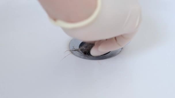 Männliche Hand Zieht Ein Brötchen Mit Weiblichen Haaren Aus Dem — Stockvideo