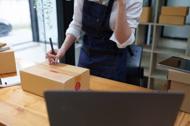 Attractive Asian entrepreneur business woman checking order.