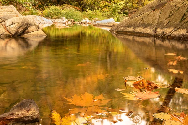美丽的秋天和大自然的色彩 — 图库照片
