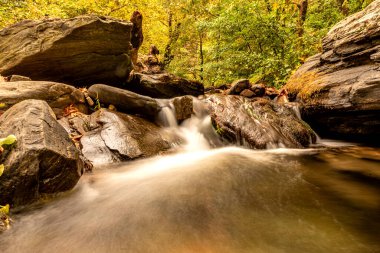 Sonbaharın ve doğanın harika renkleri