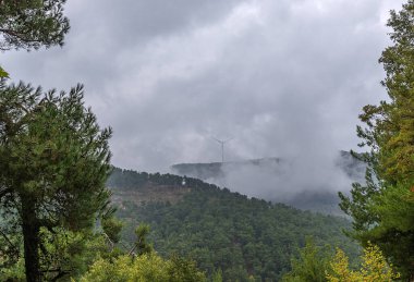 Sonbaharın ve doğanın harika renkleri