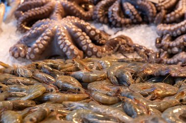 Satış tezgahında karides ve ahtapot.