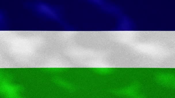 O Reino da Araucânia e Patagônia vacila tecido bandeira densa, laço de fundo — Vídeo de Stock