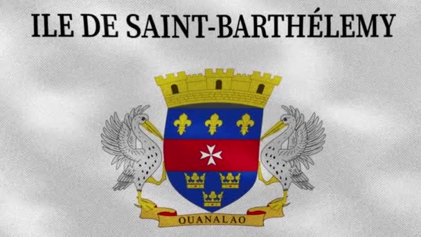 Saint Barthelemy dense flag fabric wavers, background loop — Stock Video