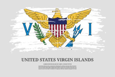 ABD Virjin Adaları bayrağı fırça darbesi etkisi ve bilgi metin posteri, vektör arkaplanı