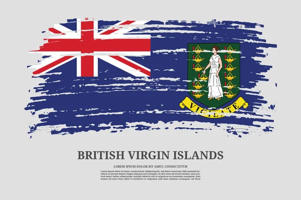Ngiliz Virjin Adaları Bayrağı Fırça Darbesi Etkisi Bilgi Metin Posteri — Stok Vektör