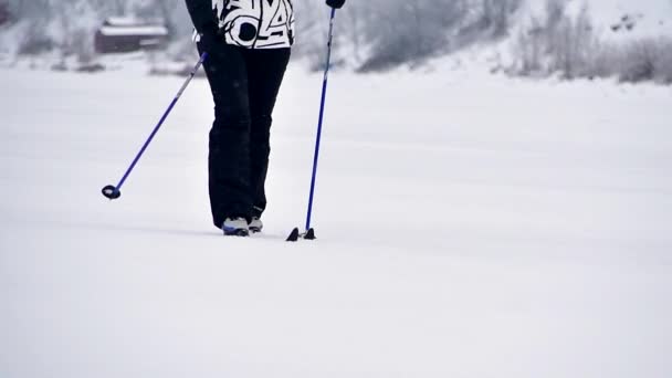 芬兰冬季运动- -越野滑雪。女人在被雪覆盖的冬季森林里滑雪.户外运动者. — 图库视频影像