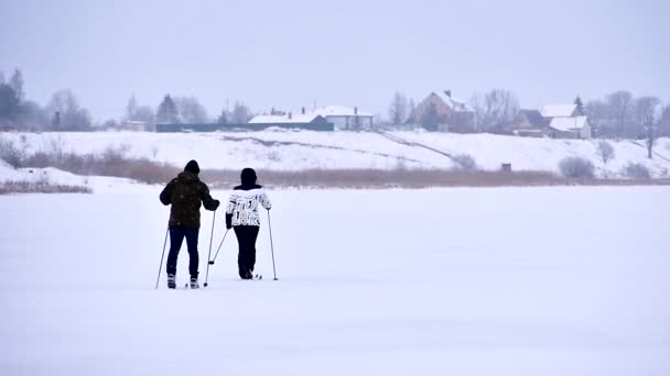 Winter sport in Finland - cross-country skiing. Woman skiing in winter forest covered with snow. Active people outdoors. — Stock Video