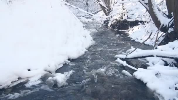 Zimowy wodospad górski scena śniegu. Snowy górski krajobraz wodospadu. — Wideo stockowe