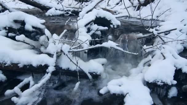 Winter mountain waterfall snow scene. Snowy mountain waterfall landscape. — Stock Video