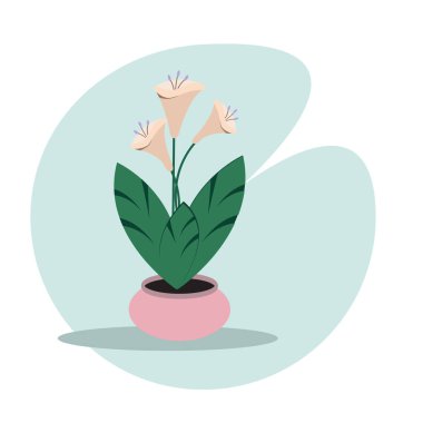 Saksıdaki ev çiçeği. Vektör illüstrasyonu