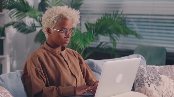 Concentrated Afro American woman sit on sofa busy working on laptop browsing web — Stock Video