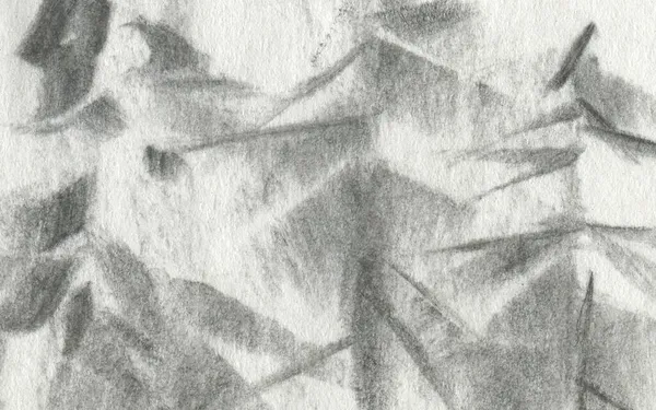 抽象的な木炭の背景 元の石炭粒状の質感 モノクロームの木目の質感 灰色の石炭の背景 鉛筆画 汎用性の高いグラフィック グレーの騒々しい壁紙 本当の気分 自然をモチーフに — ストック写真