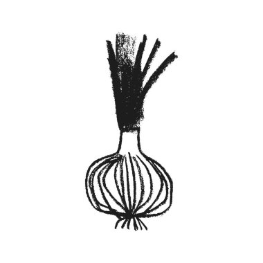 Vektör soğan ikonu. Elle çizilmiş kalem dokusu. Yeşil soğan pırasası çizimi izole edildi. Vejetaryen restoran logosu, vejetaryen sembolü. Ev yapımı yemek tabelası. Etiket veya ambalaj için sebze çizimi.