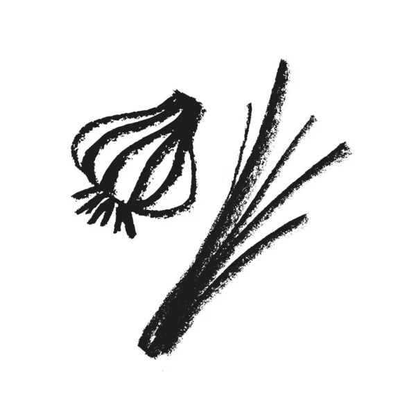 Vektorzwiebelsymbol Bleistift Handgezeichnete Textur Grüne Lauch Illustration Isoliert Veganes Restaurant — Stockvektor