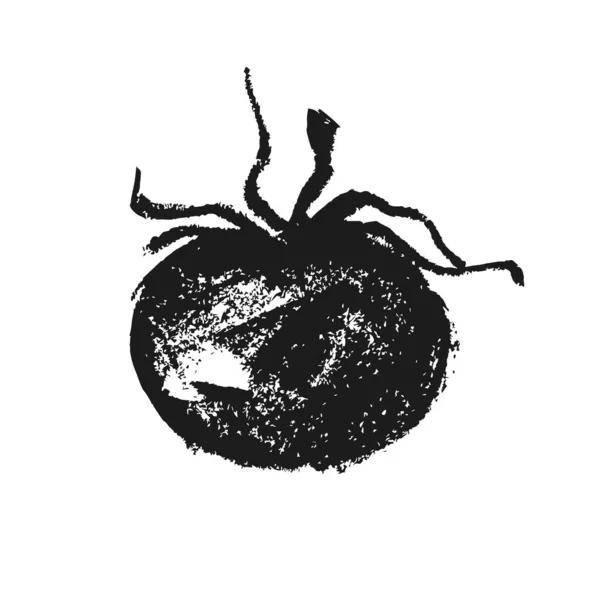 Handgetekende Rijpe Tomatentekening Natuurlijke Tomaten Vector Illustratie Pastel Tekeningen Van — Stockvector