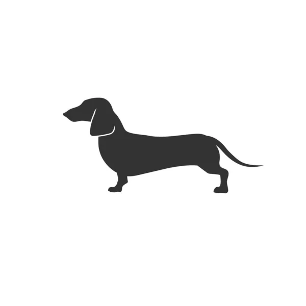 Dachshund dog icon on white background in flat. Vector illustration — стоковый вектор