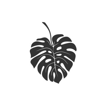 Monstera Deliciosa bitki yaprağı ikonu düz stil. Vektör illüstrasyonu