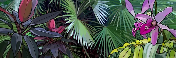 Panoramischer Hintergrund Dichter Vegetation Mit Wunderschönen Tropischen Pflanzen Und Blumen — Stockvektor