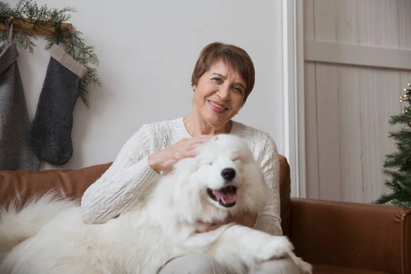 Šťastný Senior Žena Objímání Pes Samoyed Husky Sedí Pohovce Vánoční — Stock fotografie