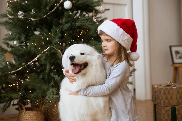 Šťastný Dítě Dívka Santa Klobouk Objímající Pes Samoyed Husky Vánoční — Stock fotografie